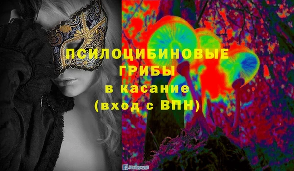 экстази Краснослободск
