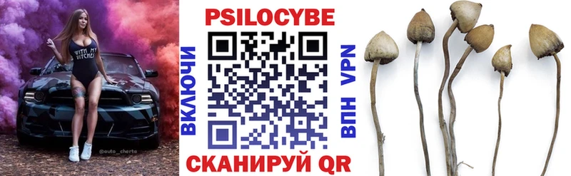 Галлюциногенные грибы Magic Shrooms  магазин продажи   Нытва 